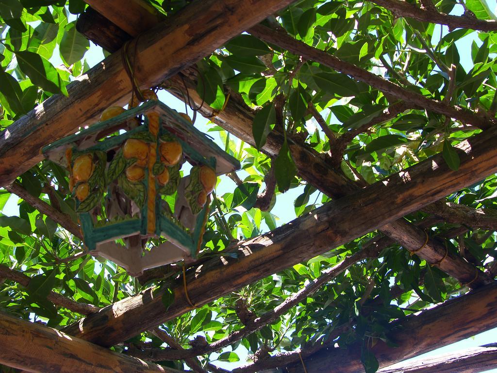קונקה דיי מריני Locanda Degli Agrumi מראה חיצוני תמונה