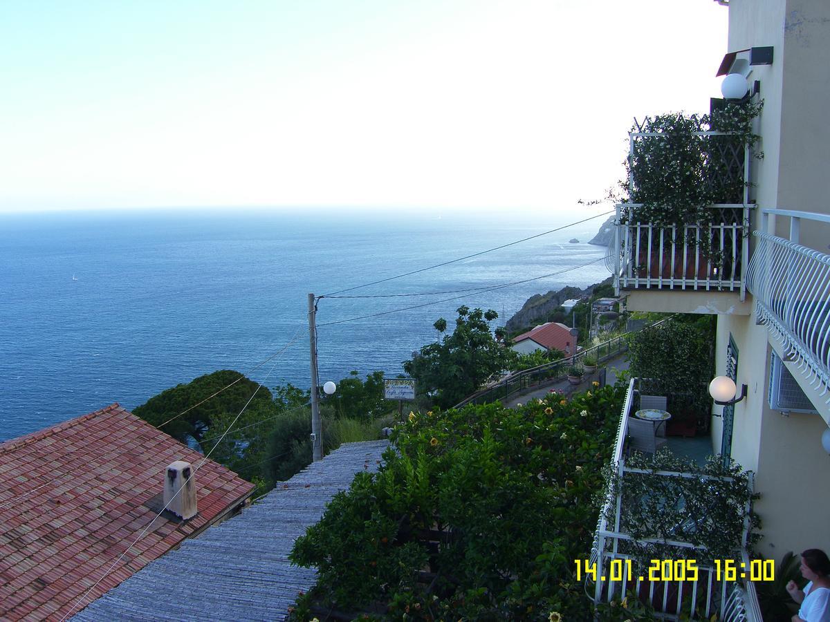 קונקה דיי מריני Locanda Degli Agrumi מראה חיצוני תמונה